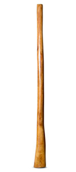 Gloss Finish Flared Didgeridoo (TW1111)